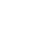 Triticum_2024monocolore